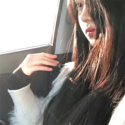 干支魂:猫客万来